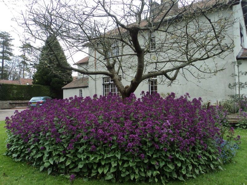 Stowey Gardens